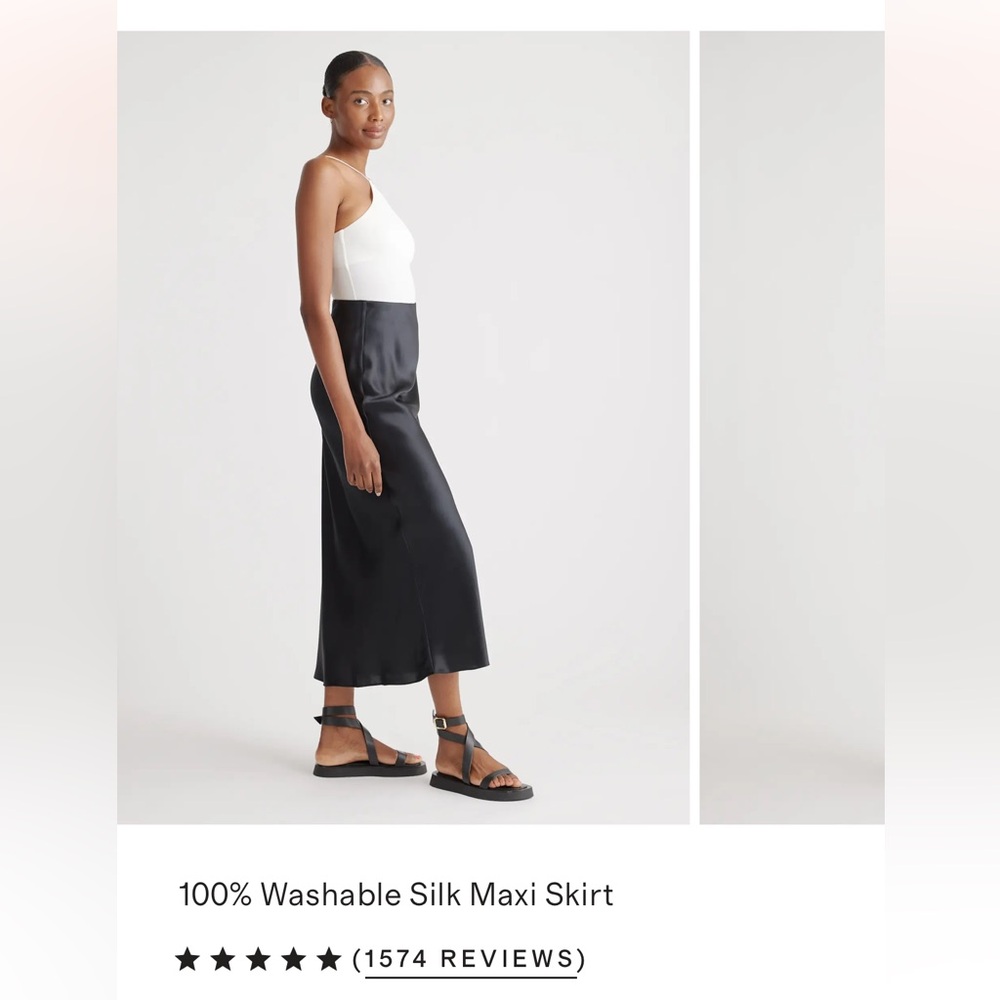 Quince Black Silk Skirt